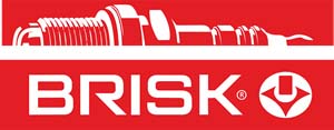 شمع خودرو بریسک Brisk